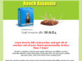 roachassassin.com