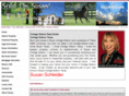 soldonsusan.com
