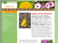wildflowerhikesmontana.com