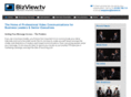 bizview.tv