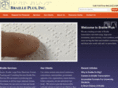 brailleplus.net
