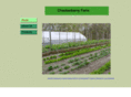 checkerberryfarm.com