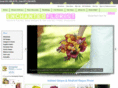 chicfloral.com