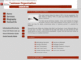 bottom-line-solutions.com