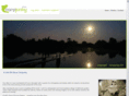 carpjunky.com