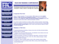 telecomtrainingcorporation.com