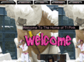 tipink.com