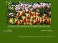 tulipes-botaniques.fr