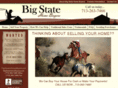 bigstatehomebuyers.com