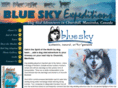 blueskymush.com