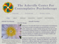 theashevillecenter.com