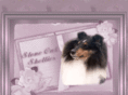 stoneoakshelties.com