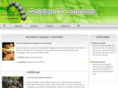 goldenitsolutions.com