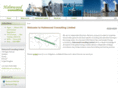 holmwood-consulting.com