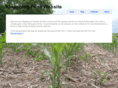 kloeppingfarm.com