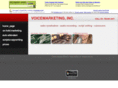 voicemarketinginc.com