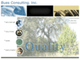buesconsulting.com