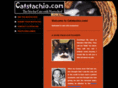 catstachio.com