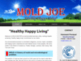 moldjoe.com