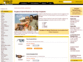 sunglassoptical.com