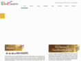 ideakonzepte.com