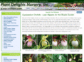 cypripediumladyslipperorchid.com