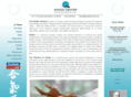 theaikidocenter.com