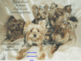 doggroomernewyork.com
