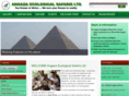 ecosafarisafrica.com