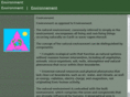 exvironment.com