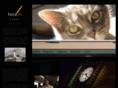 fotovis.com