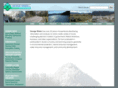 gwenvironmental.com
