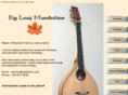 bigleafmandolins.com