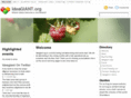 ideagiant.org
