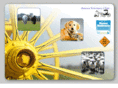 janssenvetclinic.com