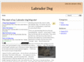 labradordogsite.com