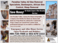 paradisevalleyazbeeremoval.com