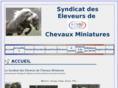 syndicatdeseleveursdechevauxminiatures.com