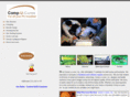 compucuresinc.com