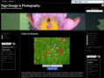 rigodesigns.com
