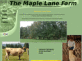 themaplelanefarm.com