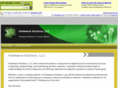 intelewave.com
