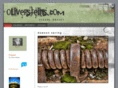 steinsphotography.com