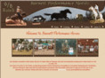 barnettperformancehorses.com