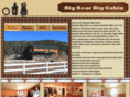 bigbearbigcabin.com
