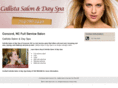 callistasalonanddayspa.com