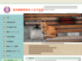 hcj-hva.com