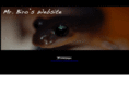 mrbiroswebsite.com