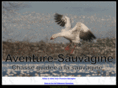 aventure-sauvagine.com