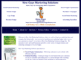 newguysmarketingsolutions.com